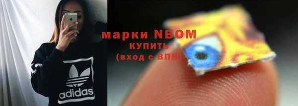 стафф Магадан
