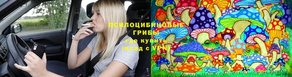 стафф Магадан
