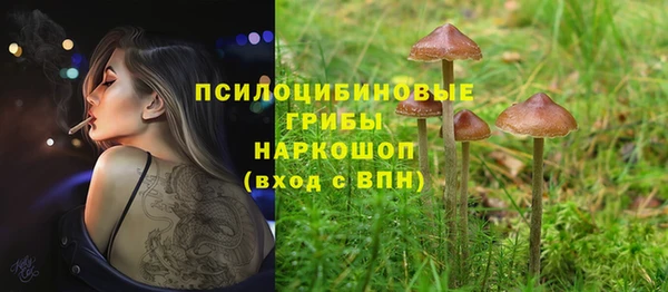 молекула духа Мегион