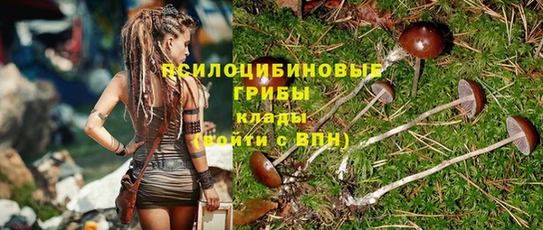 стафф Магадан