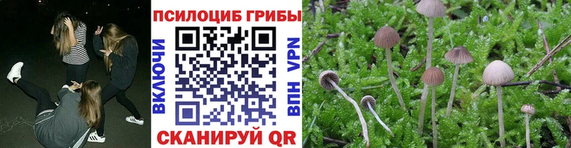 Купить  Демидов  Галлюциногенные грибы ЛСД 